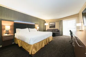 Holiday Inn Express Edmonton Downtown by IHG - Chambre