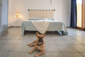 Estúdio tranquilo Palau Green Village para 2 pessoas com uma criança - Quarto