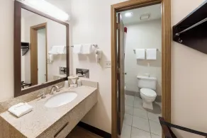 Red Roof Inn Fort Wayne - Badrum