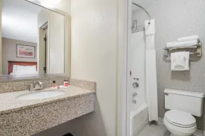 Days Hotel by Wyndham University Ave SE - Salle de bain