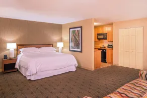 Sheraton Springfield Monarch Place Hotel - Chambre