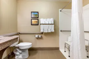 Comfort Inn Lenoir City-Knoxville - Salle de bain