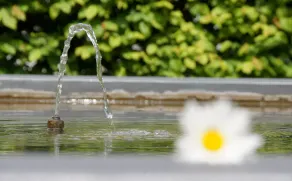 Hotel Kloster Fischingen - Udsigt fra værelset