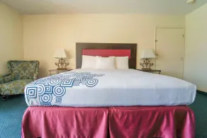 Royal Plaza Inn - Chambre