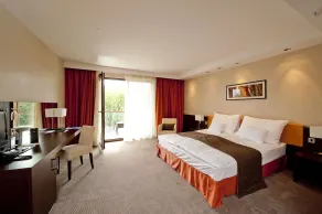 Abacus Business & Wellness Hotel - Room