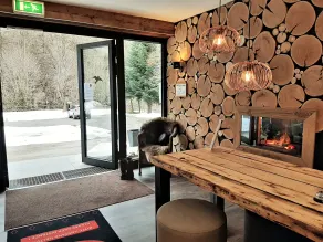 Harz hotel Iris - Reception
