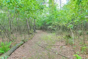 4-season Retreat: Hunt, Fish, Atv/snowmobile, Golf - Innvendig