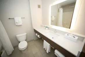 Holiday Inn Express Hotel & Suites Lexington-Downtown University by IHG - Salle de bain
