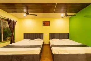 Dandeli Stay Inn - Camera