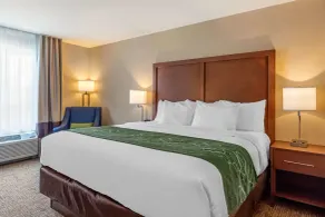 Comfort Inn & Suites Schenectady - Scotia - Chambre