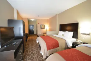 Comfort Inn & Suites Trussville I-59 Exit 141 - Chambre
