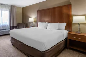Comfort Inn Moline - Quad Cities - Zimmer