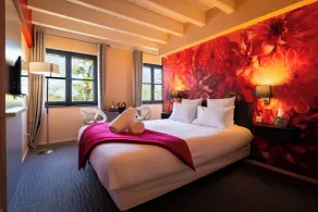 Hôtel-SPA Le Moulin De La Wantzenau - Strasbourg Nord - Værelse