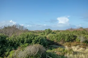 Calypso at Nautilus - Pet Friendly, Walk to beach! - Vue de la chambre