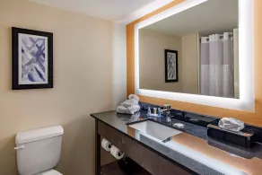 Comfort Suites Alpharetta-Roswell - Atlanta Area - Salle de bain