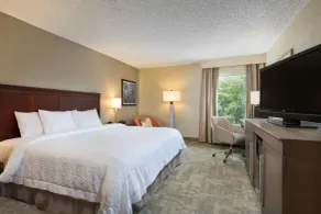 Hampton Inn Houston-Near The Galleria - Chambre