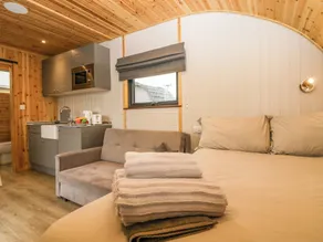 Forest - Room