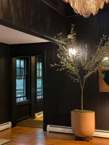 Hotel Mountain Brook - Lobby
