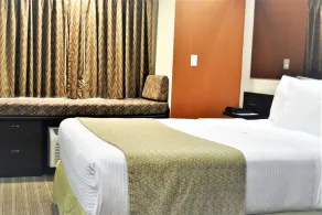 Microtel Inn and Suites by Wyndham Toluca - Chambre