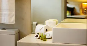 Albrook Inn - Room