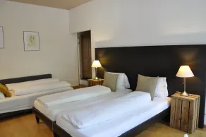 Hotel zum Hirschen - Room
