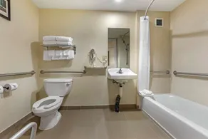 Comfort Suites Visalia - Convention Center - Badrum