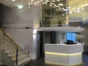 Best Western Plus Hotel Carlton Annecy - Reception