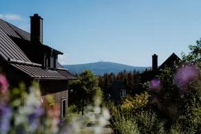 Torfhaus Harzresort - Vista dalla camera