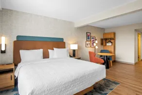 Hampton Inn by Hilton Addison Dallas - Rum