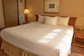 Ramada by Wyndham Topeka Downtown Hotel & Convention Center - Chambre