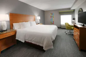Hampton Inn & Suites Houston Medical Center NRG Park - Room