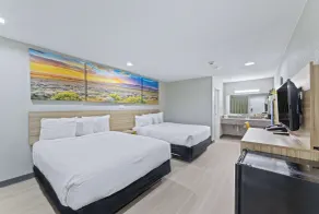 Days Inn by Wyndham McKinney - Chambre