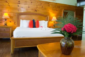 The Westender Inn - Room