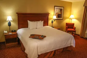 Hampton Inn & Suites Grenada - Chambre