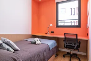 Residencia Universitaria Resa Málaga Centro - Camera