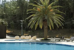 Phoenix Island - Piscina