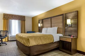 Quality Inn & Suites - Greensboro-High Point - Chambre