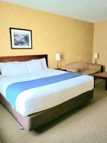 Comfort Inn - Room
