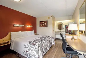 Red Roof Inn Boston - Southborough/Worcester - Værelse