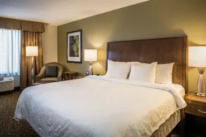 Hilton Garden Inn Richmond Innsbrook - Chambre