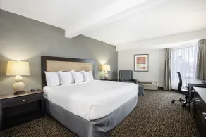 Ramada by Wyndham Kamloops - Chambre