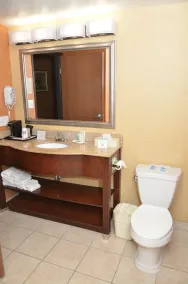 Quality Inn Near Walden Galleria Mall - Bathroom