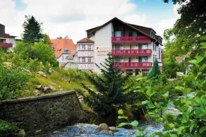 REGIOHOTEL Germania Bad Harzburg - #DirektAmKurpark #Wellnessbereich #Frühstücksbuffet #FreeParking - Vue de la chambre
