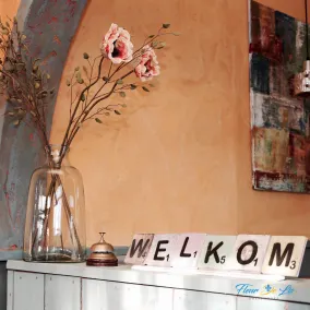 Guesthouse Fleur de Lis - Receção