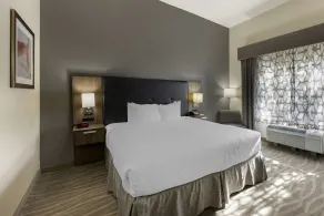 Best Western Plus Nashville Airport Hotel - BNA - Chambre