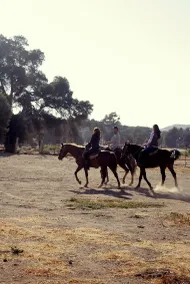 Rancho Santa Veronica - Außenbereich