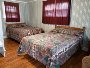 Regent Motel - Vue de la chambre