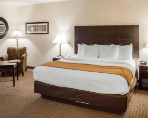 Comfort Suites Lewisburg near University - Zimmer