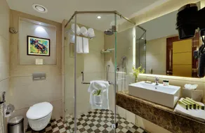 The Fern Residency, Jaipur - Bagno