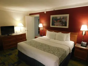 Days Inn & Suites by Wyndham Arlington Heights - Chambre